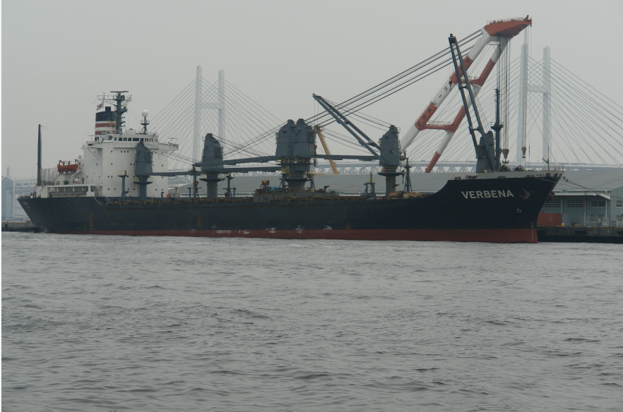 TRAC Incident Report: Houthis (Ansarallah) Target Three Ships, Namely 'Verbena', 'Athina', & 'Seaguardia', in Missile and Drone Attack, in Red Sea, Arabian Sea - 14 June 2024