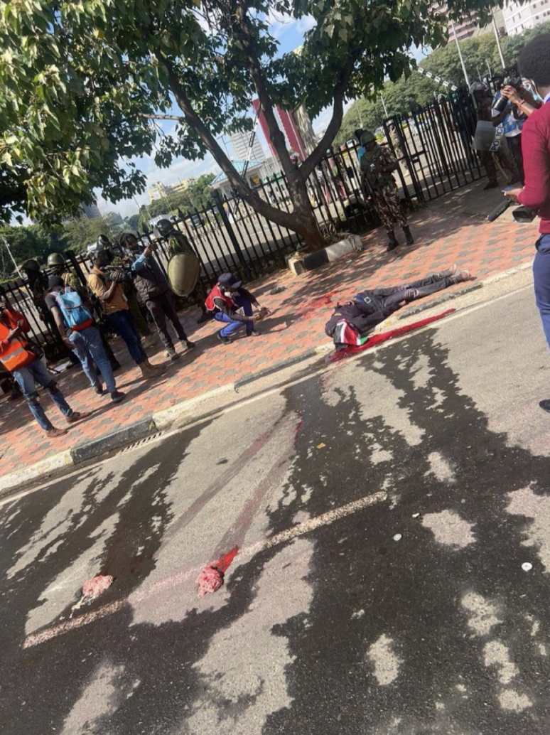 TRAC Incident Report: Anti-Ruto Riots Unfold As Protesters Storm & Set Fire to Kenyan Parliament Amid Debates on Tax Increase, Killing At Least 8, in Nairobi, Kenya - 25 June 2024