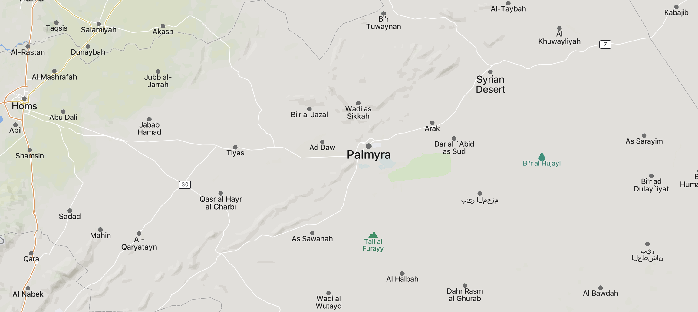 TRAC Incident Report: Islamic State (IS) Armed Assault Target Syrian Arab Army (SAA) Ammunition Depots in Syrian Desert (Badiya), Palmyra (M7 Highway), Homs Governorate, Syria - 25 June 2024