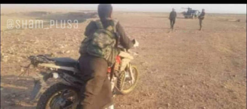 TRAC Incident Report: Syrian Arab Army (SAA) Sends Fourth Batch of Reinforcements to the Syrian Desert [Badiya], Palmyra, Homs Governorate, Syria - 4 June 2024