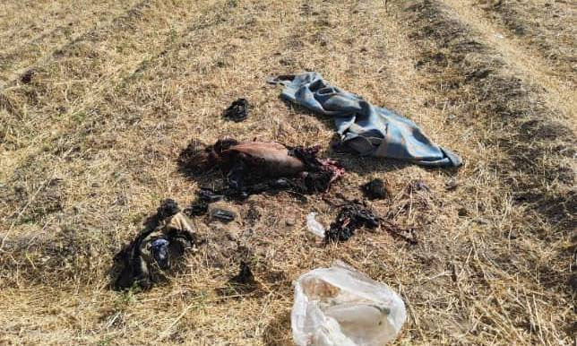 TRAC Incident Report: Suspected Islamic State (IS) Militants Accidentally Detonated an Improvised Explosive Device (IED) While Planting it Along Roadside in Deir Ezzor Governorate, Syria - 25 June 2024