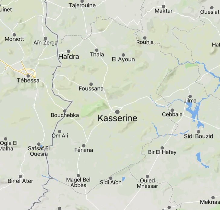 TRAC Incident Report: Civilian Injured in Land Mine Detonation From Unknown Militants in Jabal Salloum, Kasserine Governorate, Tunisia - 23 July 2024