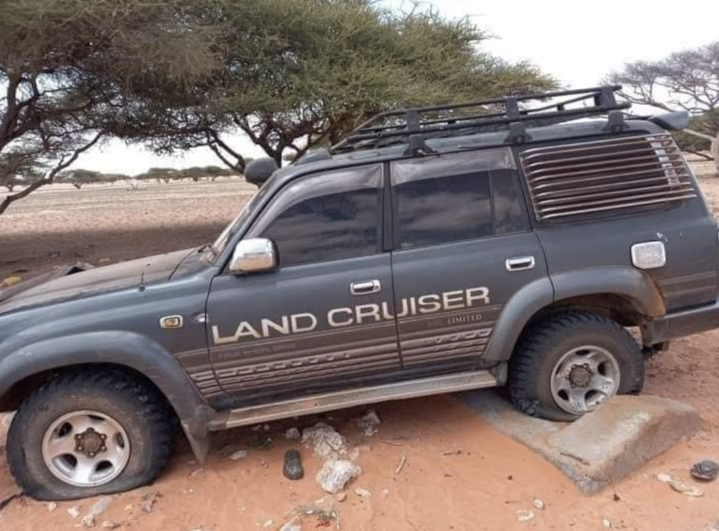 TRAC Incident Report: Somali Forces Eliminate 130 Militants After Al-Shabaab's Failed Armed Assault Attempt, in Lower Juba, Somalia - 24 July 2024