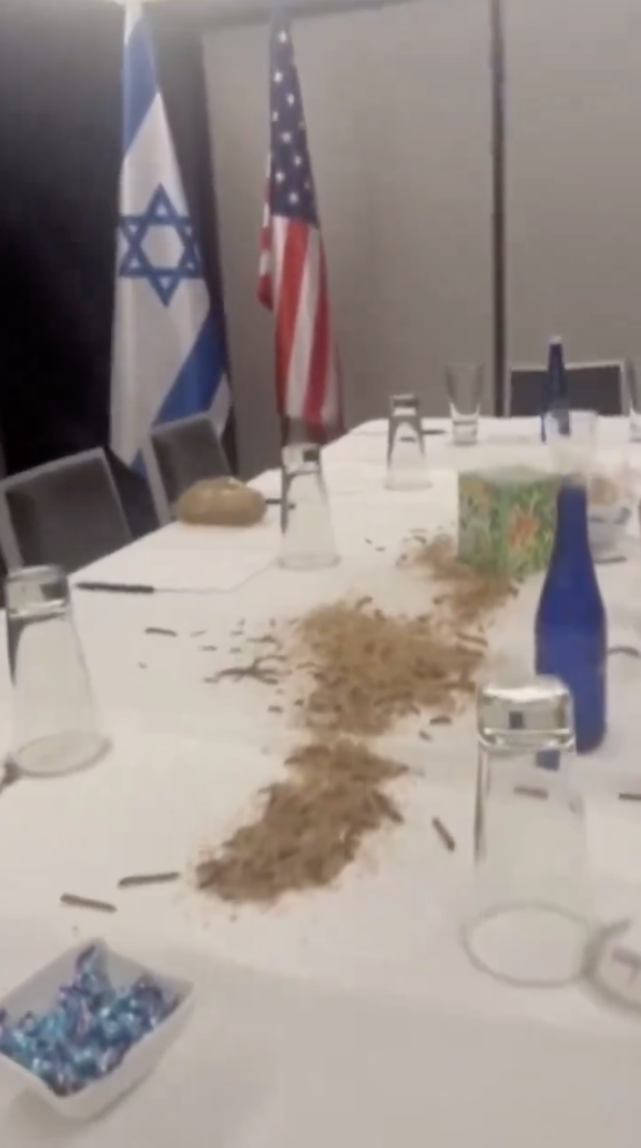 TRAC Incident Report: Pro-Palestinian Protesters Set Off Fire Alarms & Released Maggots on Netanyahu's Table, at Watergate Hotel, Washington D.C., United States - 24 July 2024