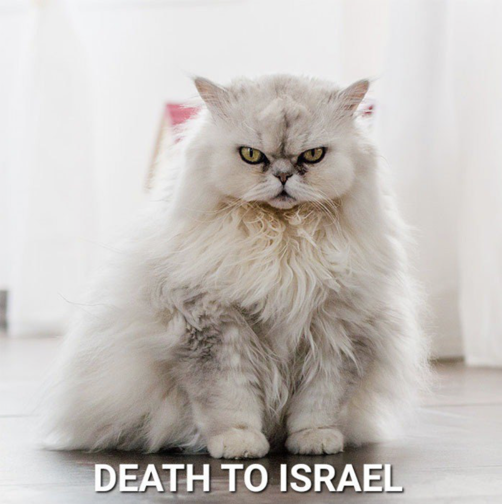 Terrorgram Shares Stochastic Poster Featuring a Cutsified Cat Calling for 'Death to Israel'