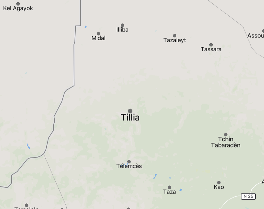 TRAC Incident Report: Suspected Islamic State Greater Sahara (ISGS) Militants Led an Armed Assault on Civilians Near Tillia, Tahoua Region, Niger - 5 July 2024