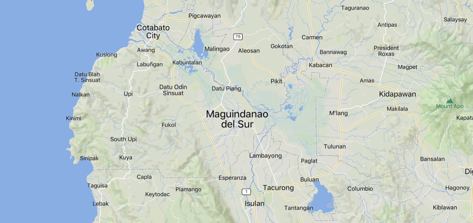 (Photo) Residents of Various Towns Surrender a Total of 38 Firearms as Part of a Philippine Army-Sponsored Disarmament Campaign, Maguindanao del Sur -20 September 2024