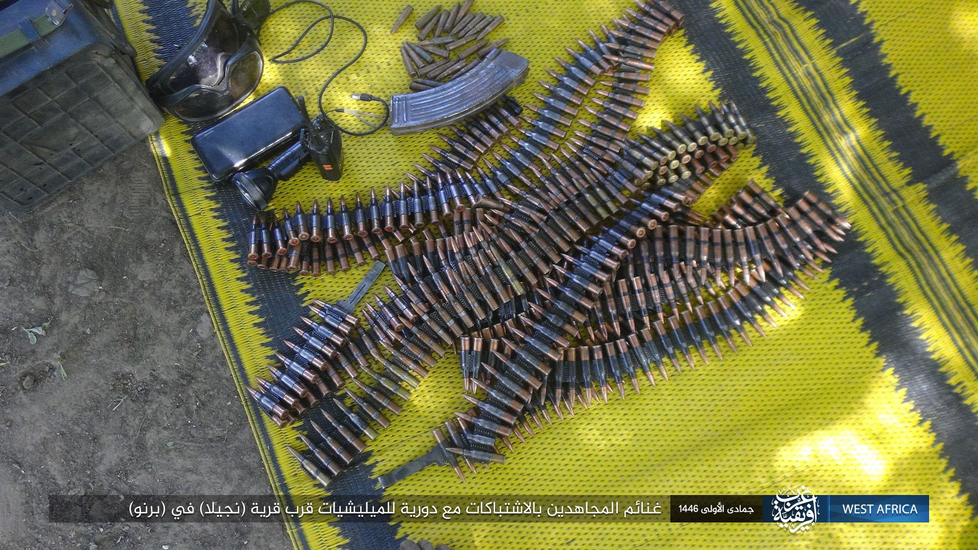 TRAC Incident Report: Islamic State West Africa (ISWA/Wilayat Gharb Afriqiyah) Militants Clashed with Nigerian Army Forces in Ngelewa, Borno State, Nigeria - 18 November 2024