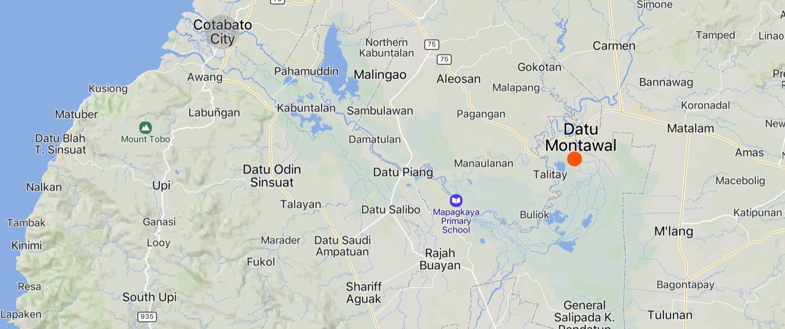 Suspected Gunmen of the Moro Islamic Liberation Front (MILF) Injure the Son of a Rival MILF faction's Commander, Datu Montawal, Maguindanao del Sur, Mindanao, Philippines - 04 February 2025