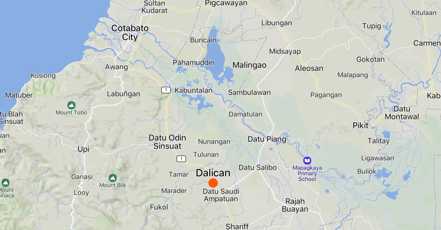 Tricycle Driver Shot and Killed by a Gunman in an Ambush, Barangay Dalican, Datu Odin Sinsuat, Maguindanao del Norte, Philippines - 23 February 2025