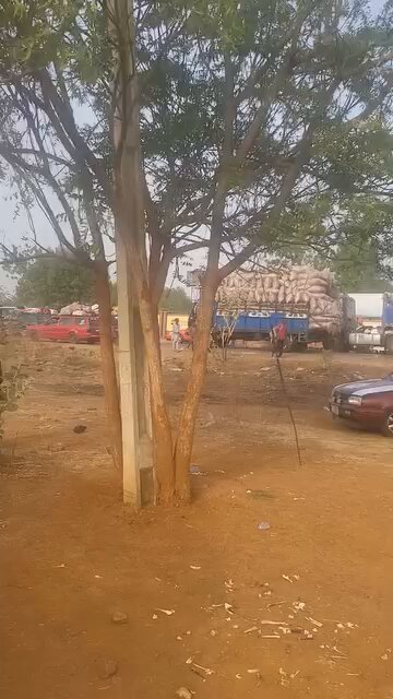 Residents Hold Protest Following Bandit Assault that Kidnaps 32 People Including Imam, Maru, Zamfara State, Nigeria - 13 February 2025