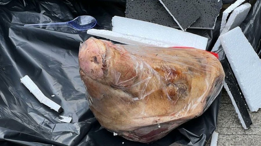 Severed Pig's Head Sent to Political Journalist Francisca Christy Rosana at Her Tempo Magazine's Office, Jakarta, Indonesia - 19 March 2025