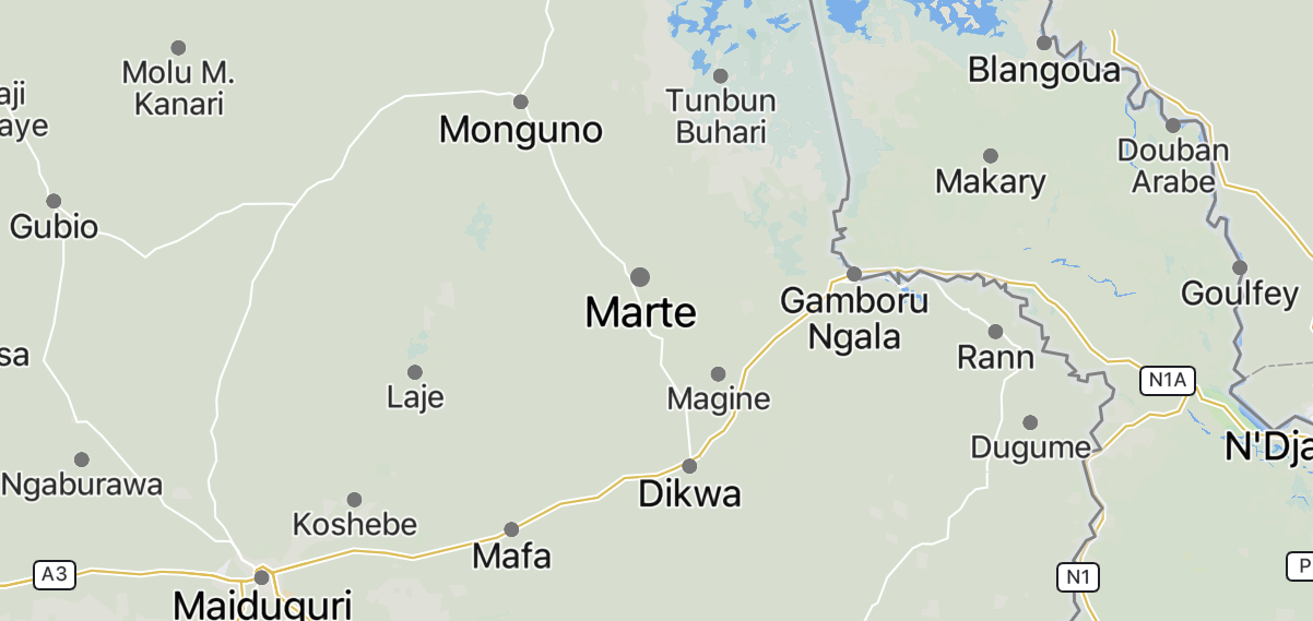 TRAC Incident Report: Islamic State West Africa (ISWA/Wilayat Gharb Afriqiyah) Militants Killed by Nigerian Air Fore Airstrikes in Borno State, Nigeria - 09 March 2025
