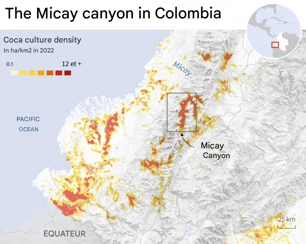 TRAC Incident Report: Central General Staff (EMC)/Revolutionary Armed Forces of Colombia (FARC) Militants Detonated an IED on Colombian Soldiers in Micay Canyon, Cauca Department, Colombia - 11 March 2025