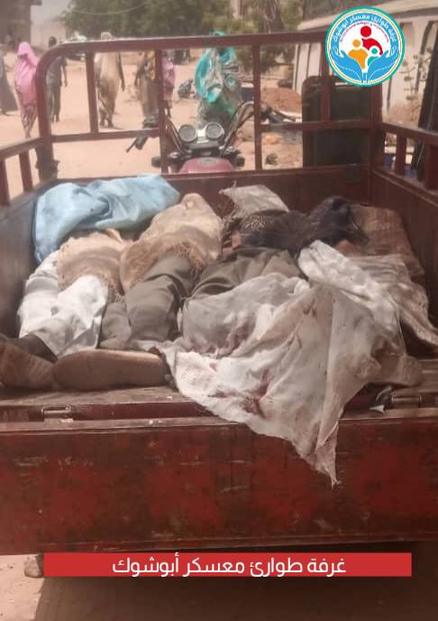 TRAC Chatter: Rapid Support Forces (RSF) Shelled ZamZam and Abu Shouk Refugee Camps, North Darfur, Sudan- 13 April 2025