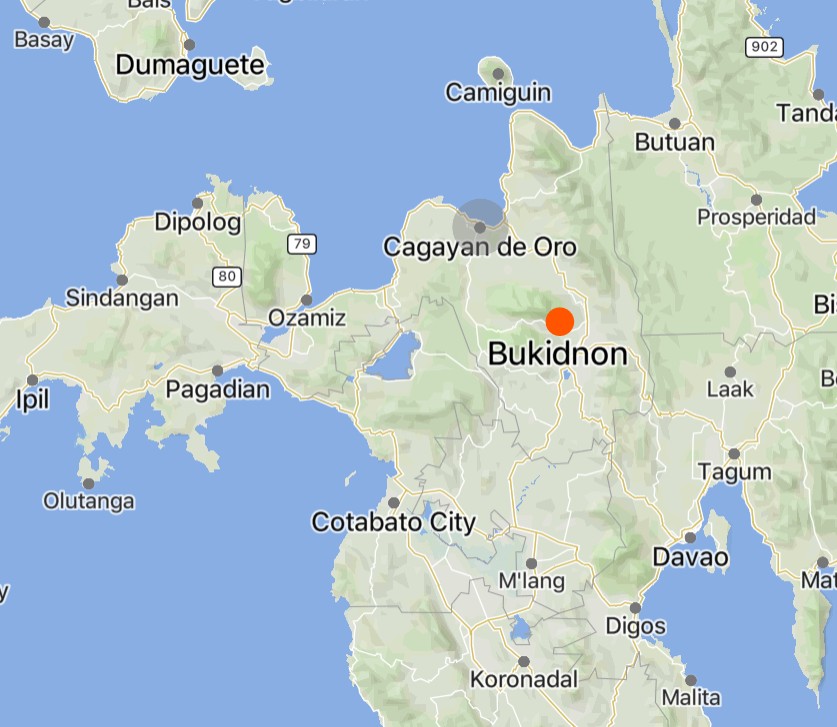 Wanted Communist Rebel of the New People's Army (NPA) Captured by the Security Forces in Bukidnon Province, Northern Mindanao, Philippines - 20 April 2025