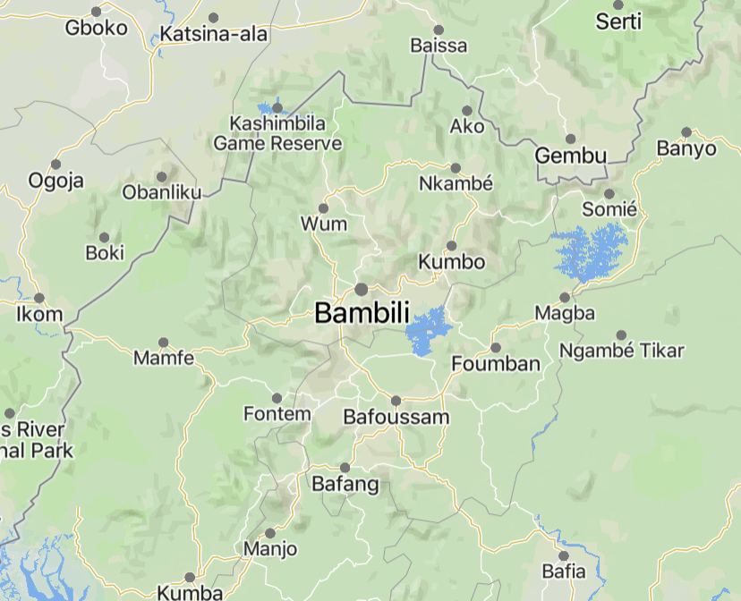 TRAC Incident Report: Suspected Ambazonia Militants Assassinated a Businessman and Teacher, Yufemo Anslem, in Bambili, North-West Region, Cameroon - 27 April 2025