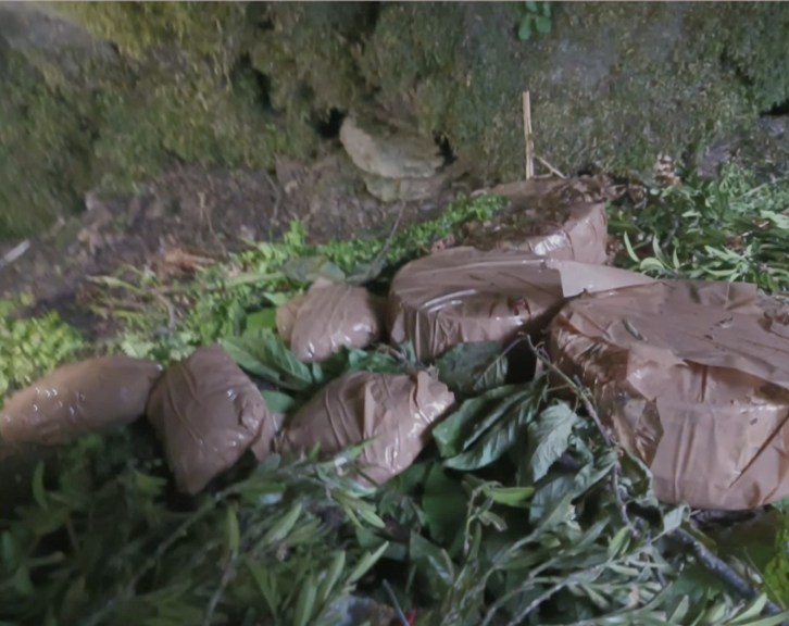 TRAC Incident Report: Indian Security Forces Bust Underground Militant Hideout and Recover Five Improvised Explosive Devices (IEDs) in Surankote, Poonch District, Jammu & Kashmir, India & Pakistan - 4 May 2025