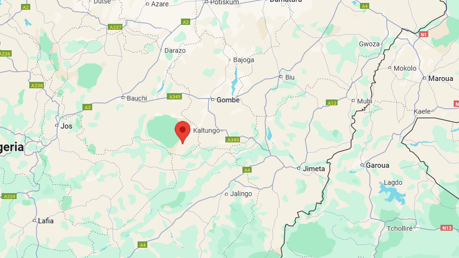 Ambush and Kill 19 Vigilantes Burn Homes and Russle Cattle at Gwana District, Alkaleri LGA, Bauchi State - 04 May 2025